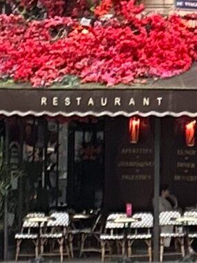 Meet your Posher, Tina